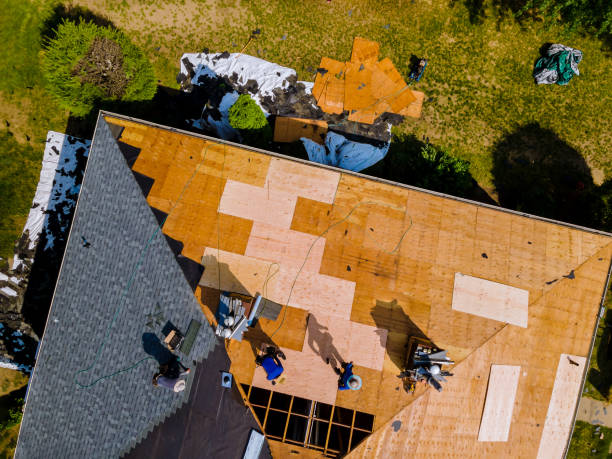 Quick and Trustworthy Emergency Roof Repair Services in Homeland, GA