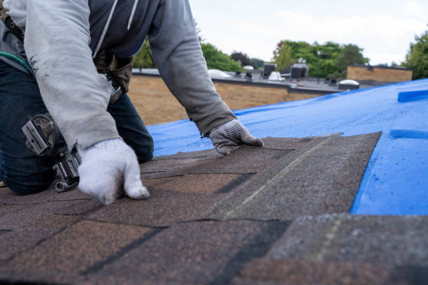 Best Slate Roofing Contractor  in Homeland, GA