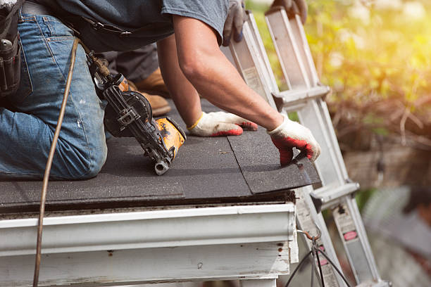 Best Best Roofing Contractors  in Homeland, GA