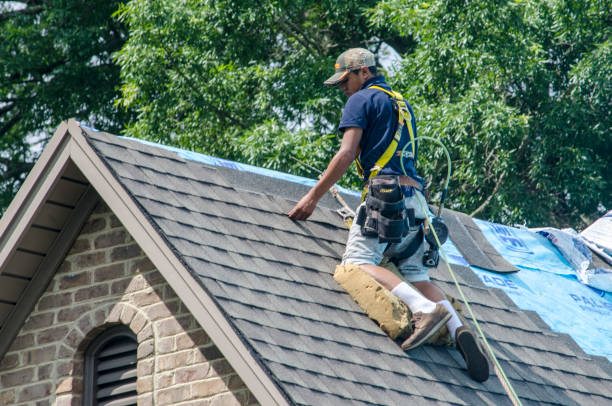 Professional Roofing Contractor in Homeland, GA