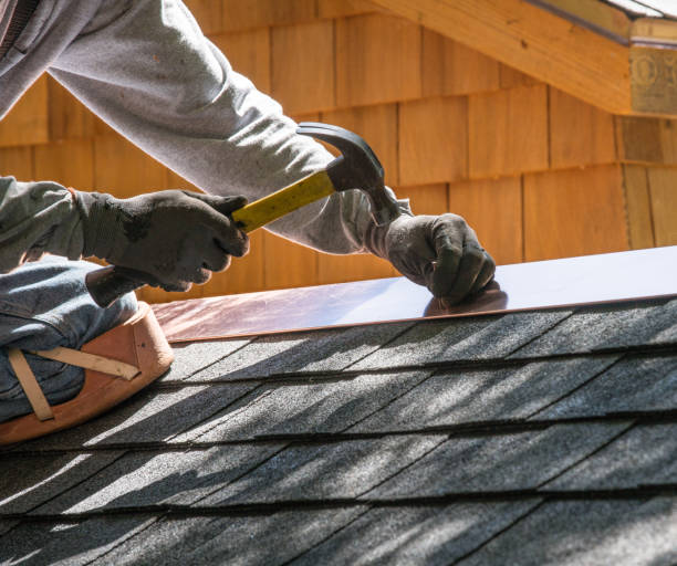 Best Shingle Roofing Installation  in Homeland, GA